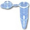 DNA10.gif