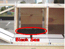 Treasure7.gif