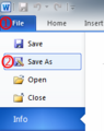 Thumbnail for version as of 08:04, 6 September 2010
