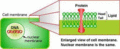 Thumbnail for version as of 03:10, 23 June 2009