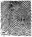 Thumbnail for version as of 00:34, 6 July 2017