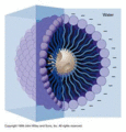 Thumbnail for version as of 03:10, 23 June 2009