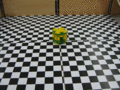 Thumbnail for version as of 03:01, 23 June 2009