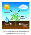 Thumbnail for version as of 09:25, 24 September 2020