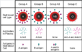 Thumbnail for version as of 16:46, 20 October 2017