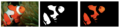 Thumbnail for version as of 16:48, 6 September 2021