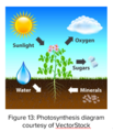 Thumbnail for version as of 08:47, 24 September 2020
