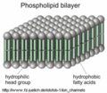 Thumbnail for version as of 03:14, 23 June 2009