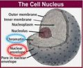 Thumbnail for version as of 03:10, 23 June 2009